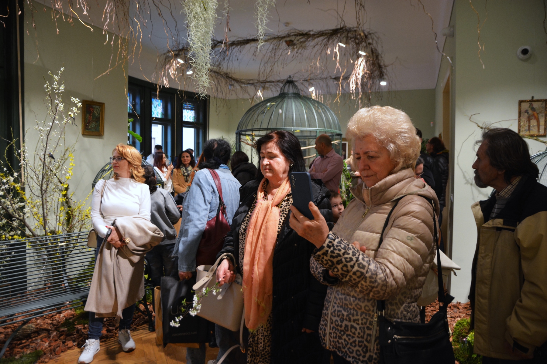 Darvas Sunetul NaturiiDSC_7020