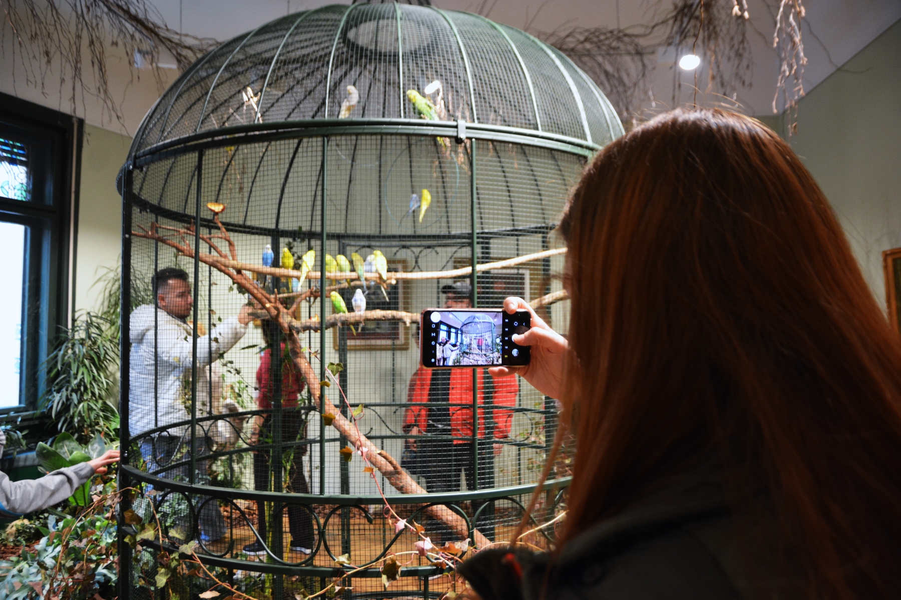 Darvas Sunetul NaturiiDSC_7036