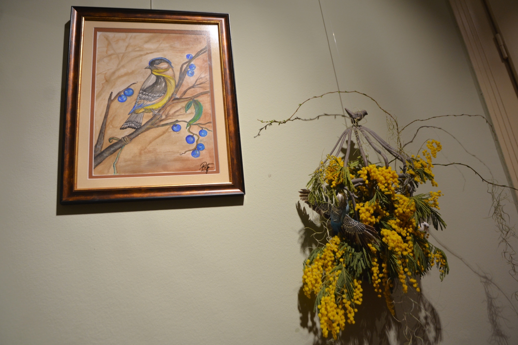 Darvas Sunetul NaturiiDSC_7061