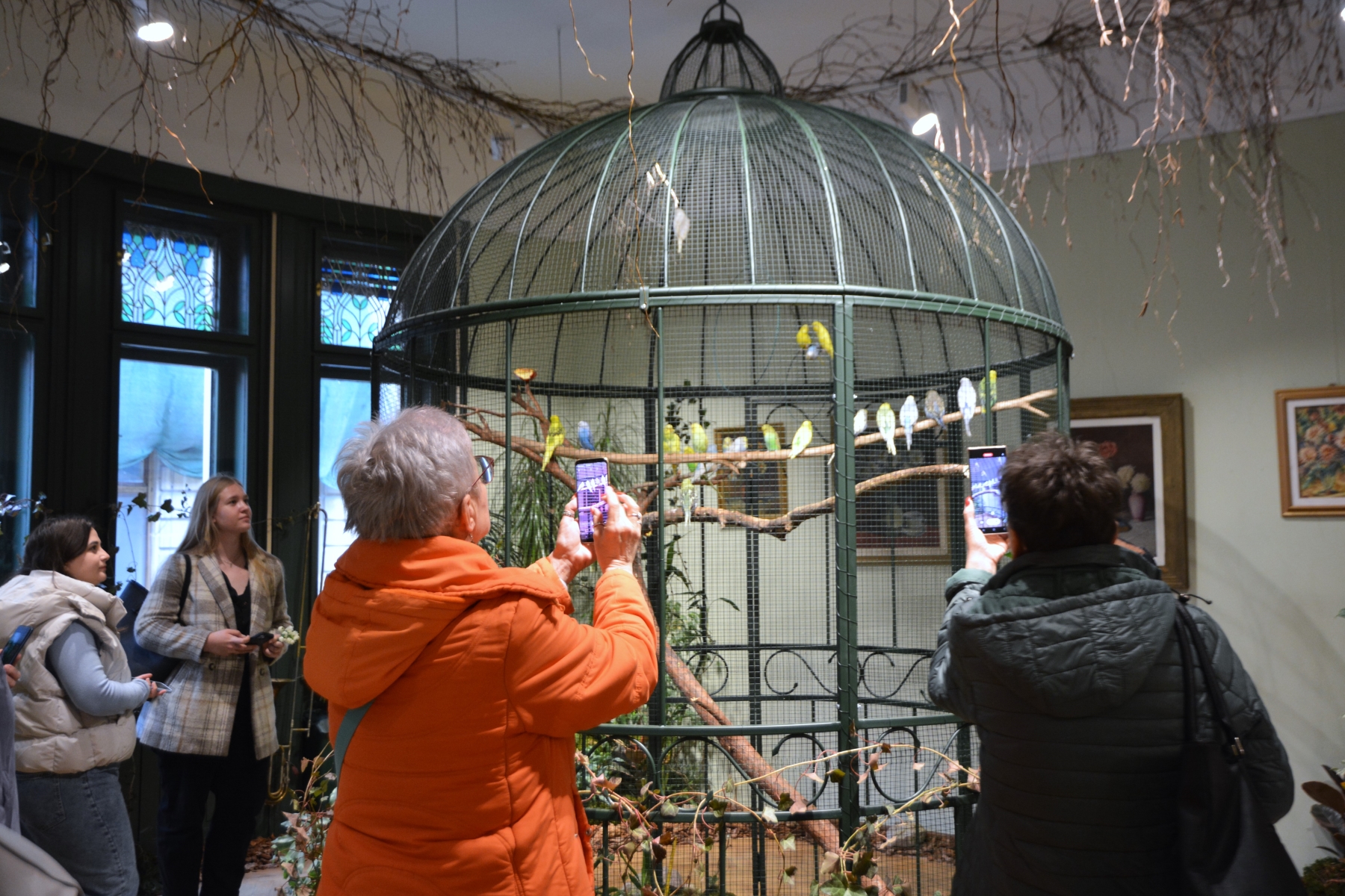 Darvas Sunetul NaturiiDSC_7065