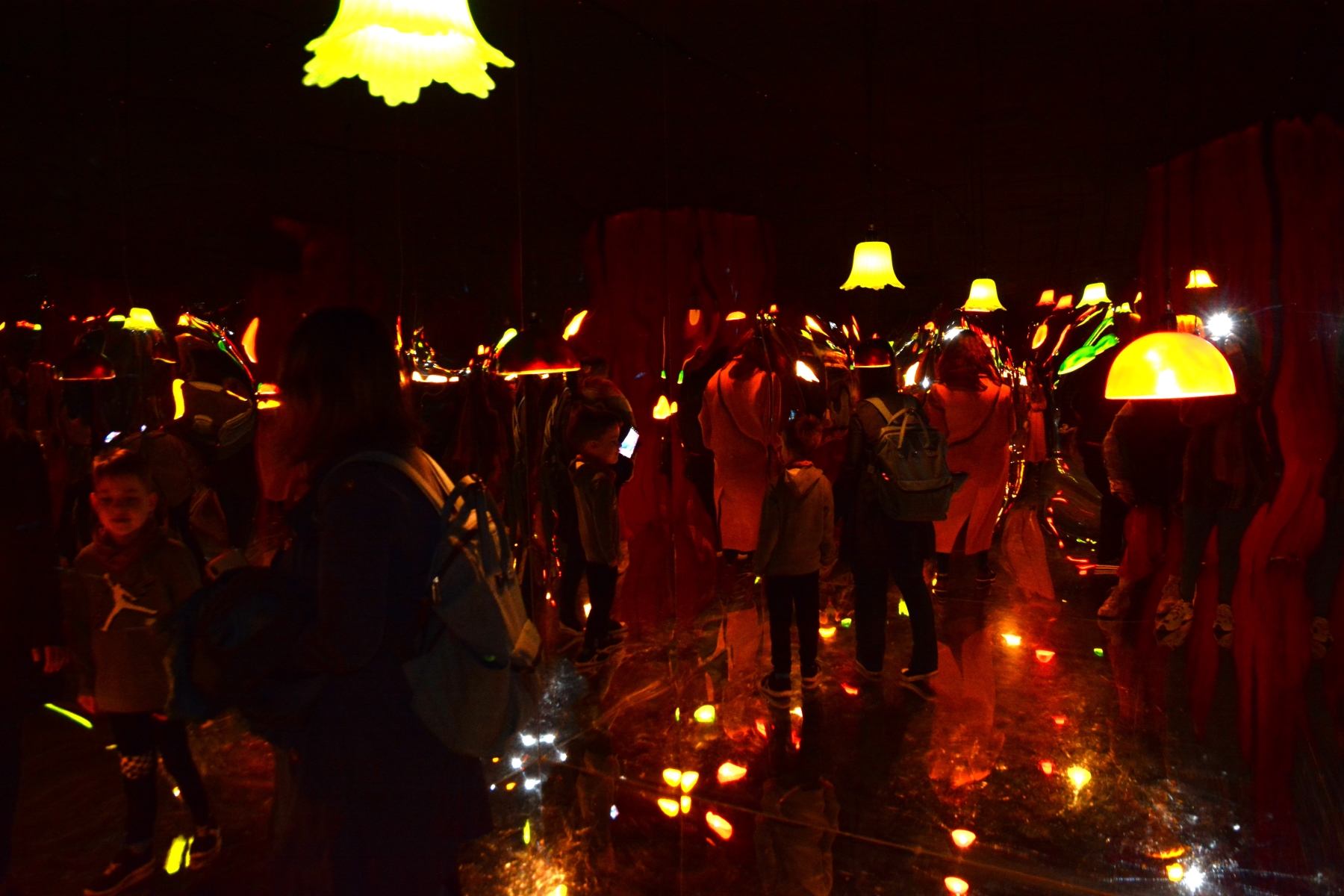 Darvas Sunetul NaturiiDSC_7075