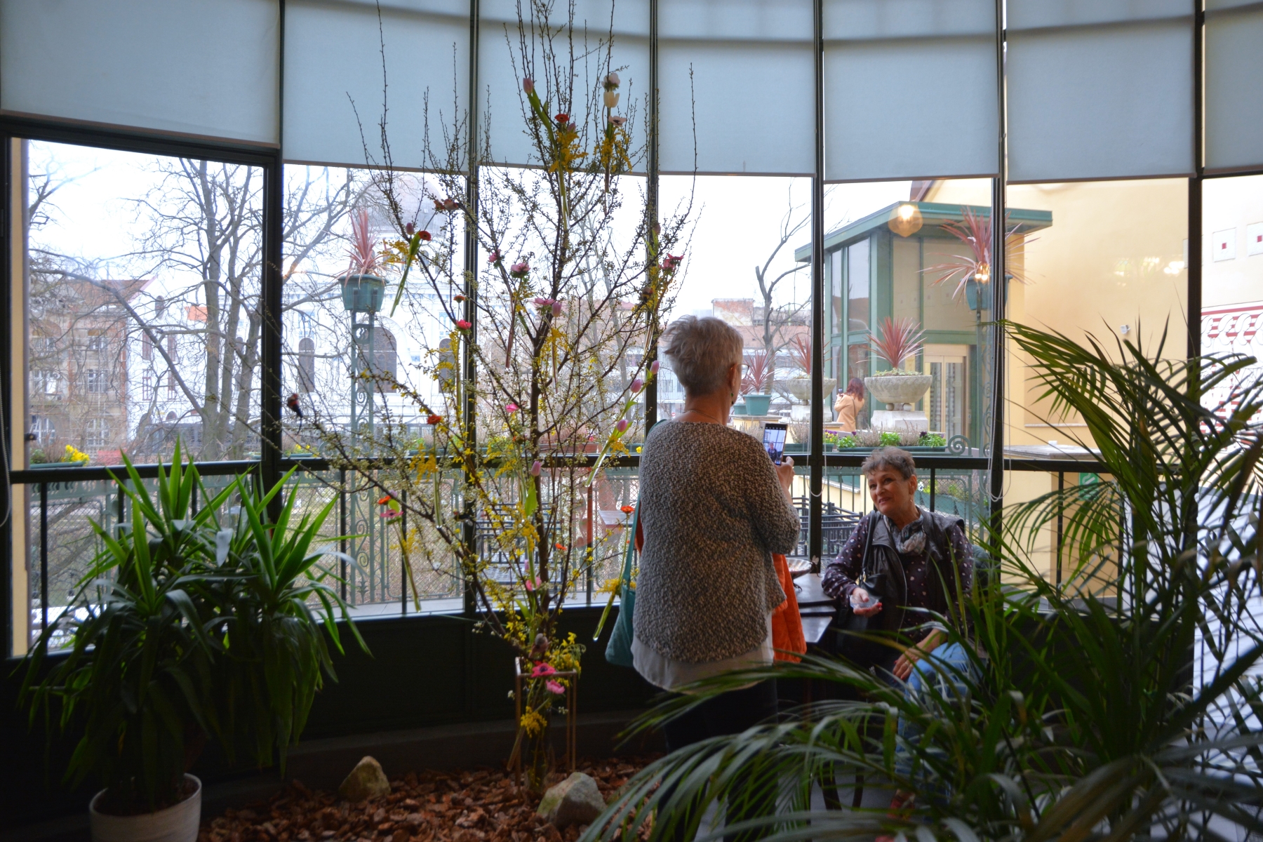 Darvas Sunetul NaturiiDSC_7091