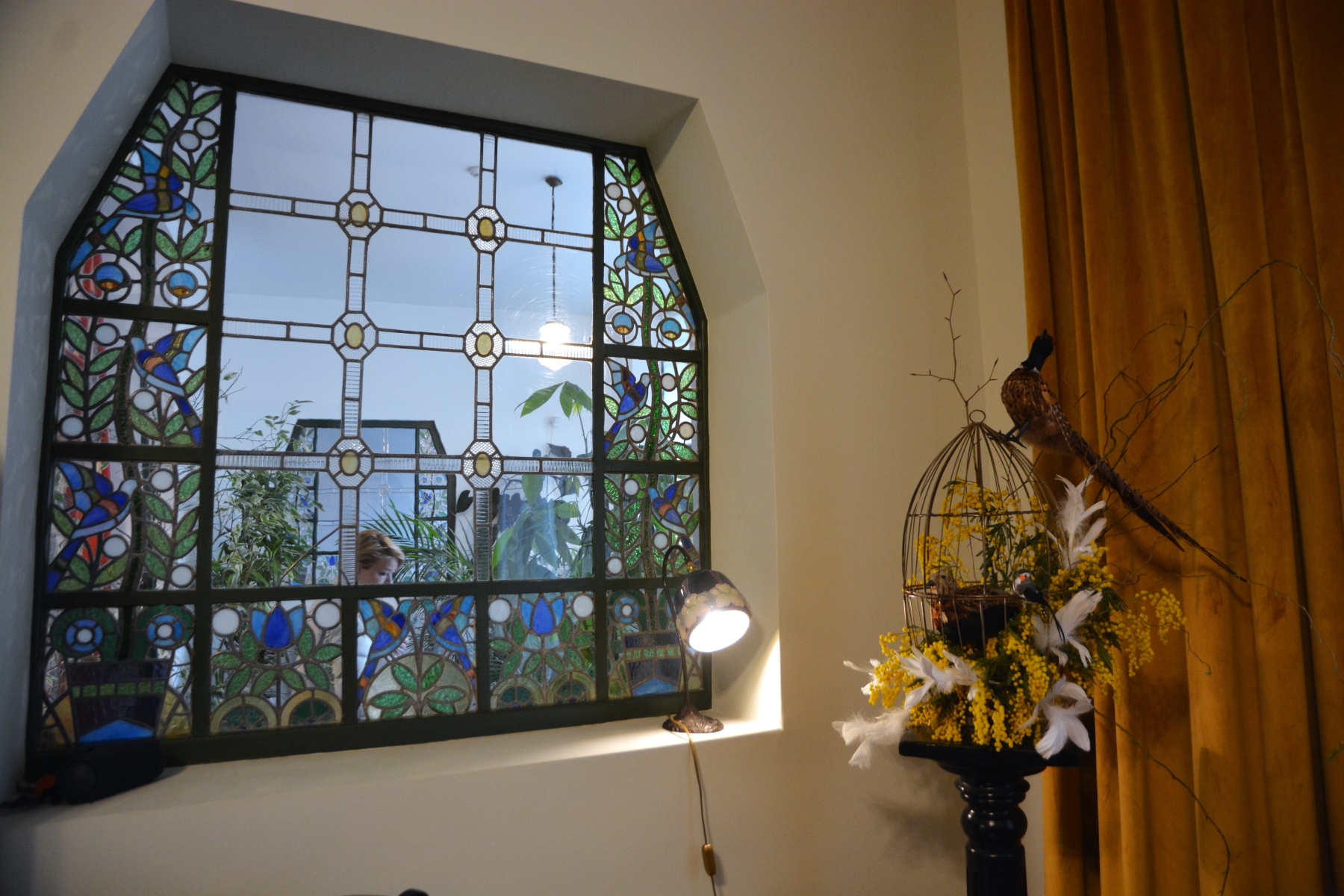 Darvas Sunetul NaturiiDSC_7092