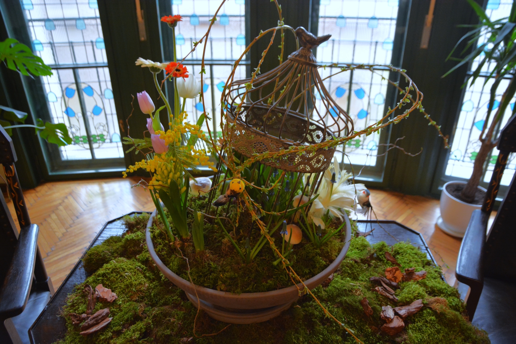 Darvas Sunetul NaturiiDSC_7096