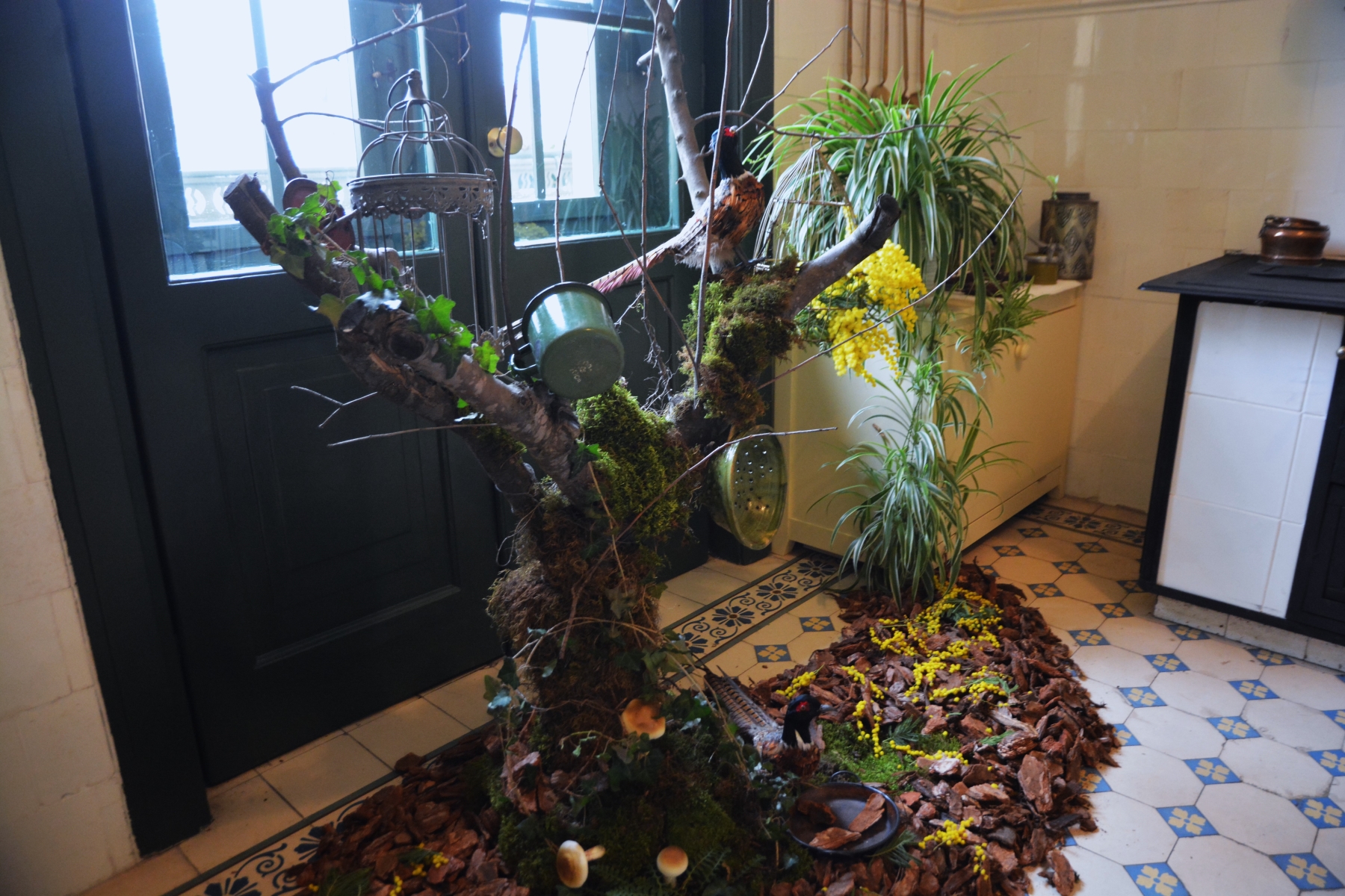 Darvas Sunetul NaturiiDSC_7100