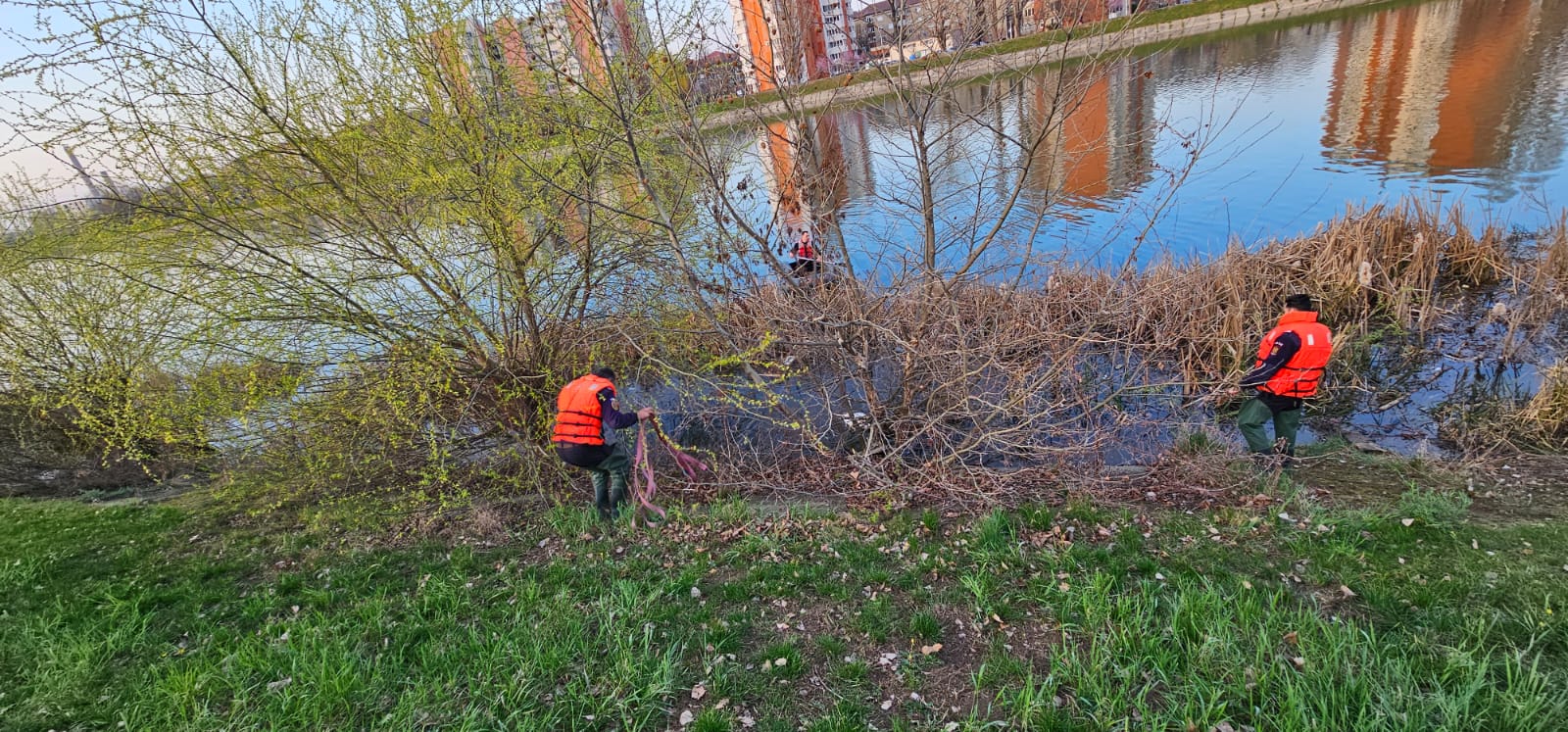 1cb6dc11-2a41-4ecb-a240-8a50b03ee397