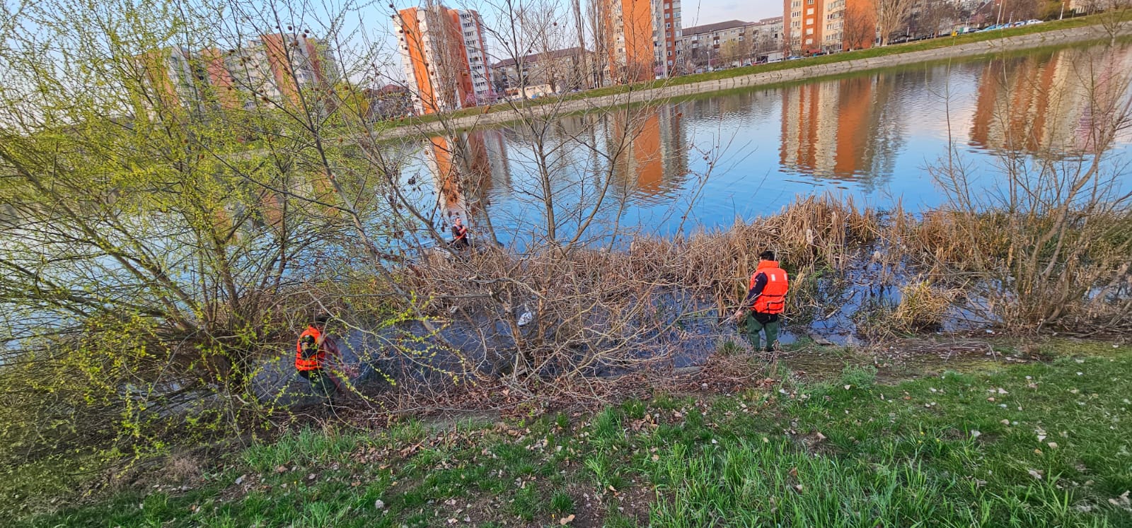 4e094e1d-10f6-4245-a04b-c62c44e95881