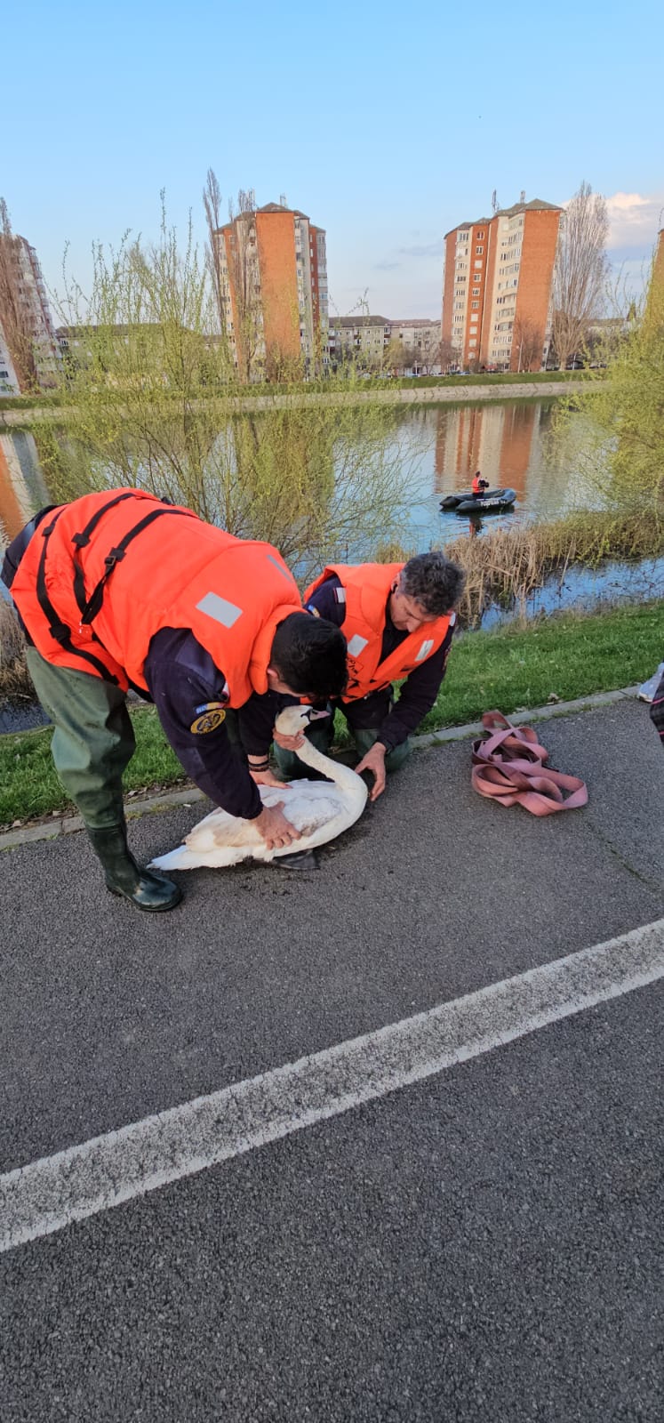 d0b1b49d-ae58-4f9b-bbe1-b2e68abfdb1e