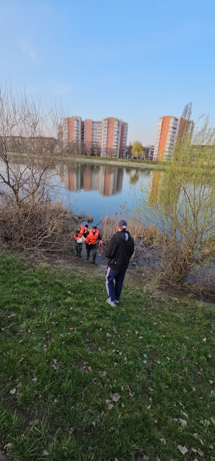 f980dc12-7ea5-4990-b362-ecaaedcfdcee