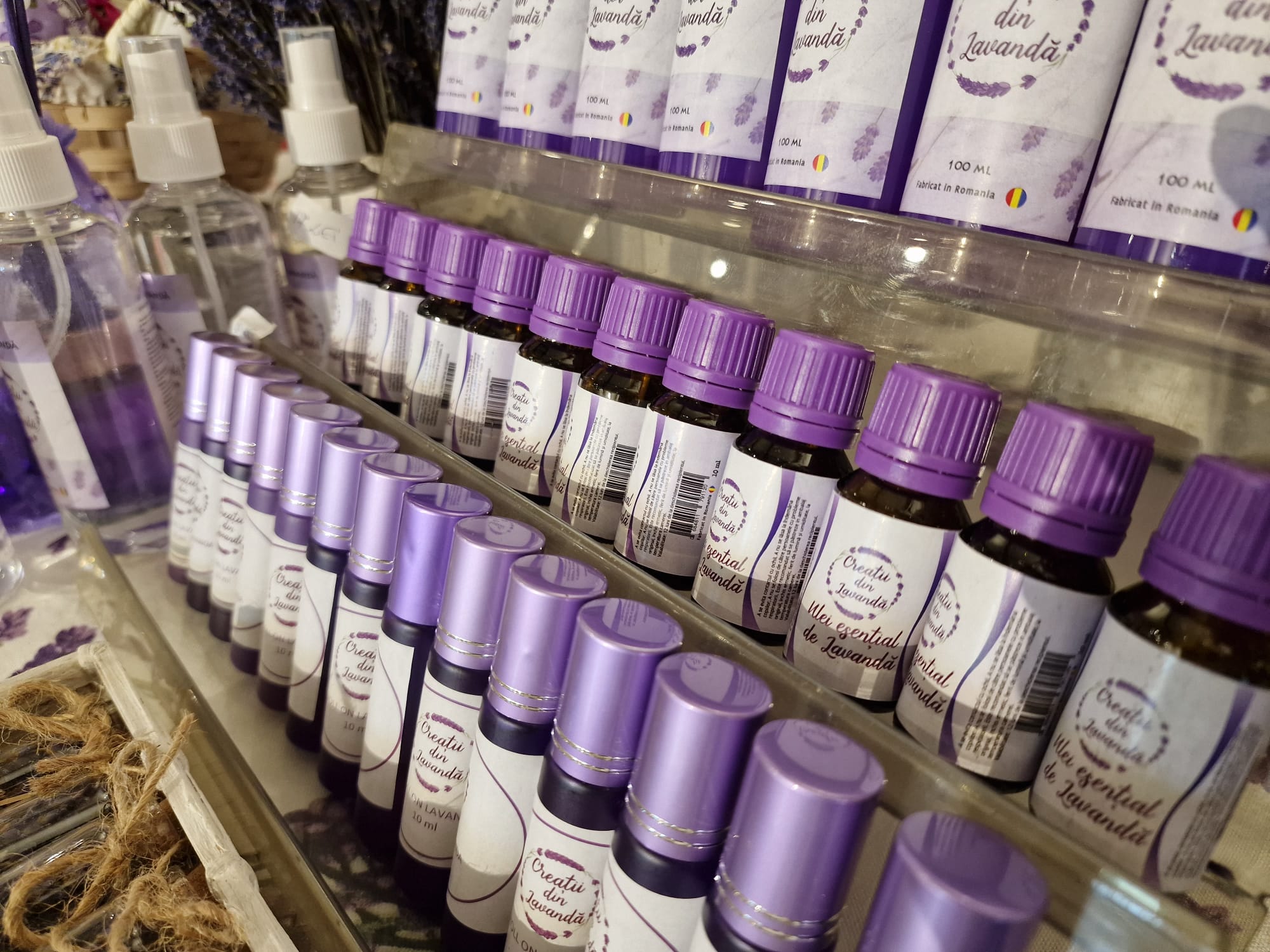 WhatsApp Image 2024-04-17 at 17.15.35 (2)