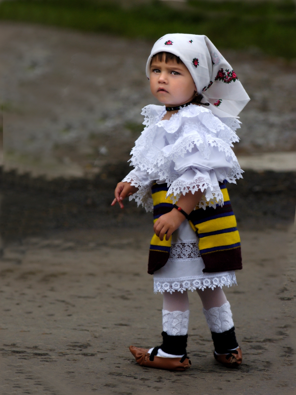 5Foto Moldovan Mihály EFIAP 8 k