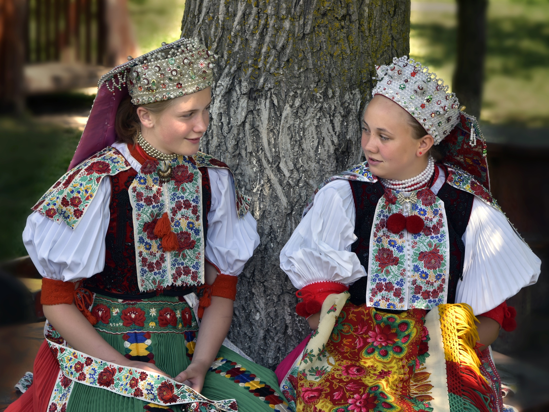 Foto Moldovan Mihály EFIAP (RO) 2