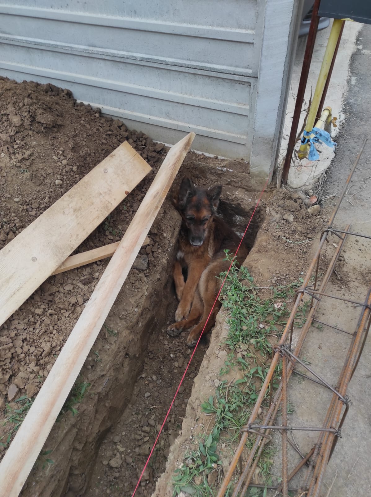 56578de9-a618-4659-9ca7-813de3db6193