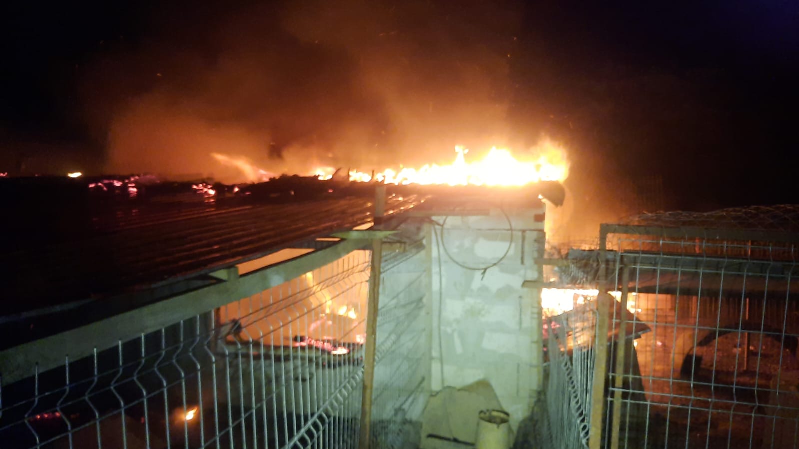 FOTO: Incendiu în Păușa 09.05.2024
