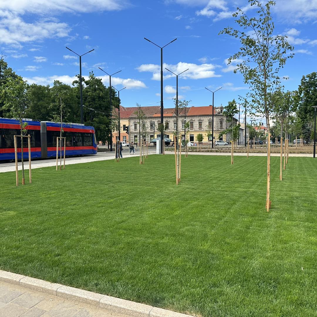 FOTO: Amenajare spații verzi 10.05.2024