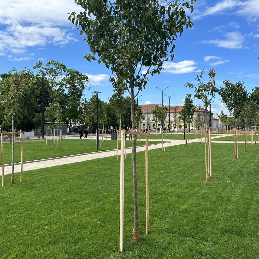 441510111_975960403888681_2204543764079204126_n