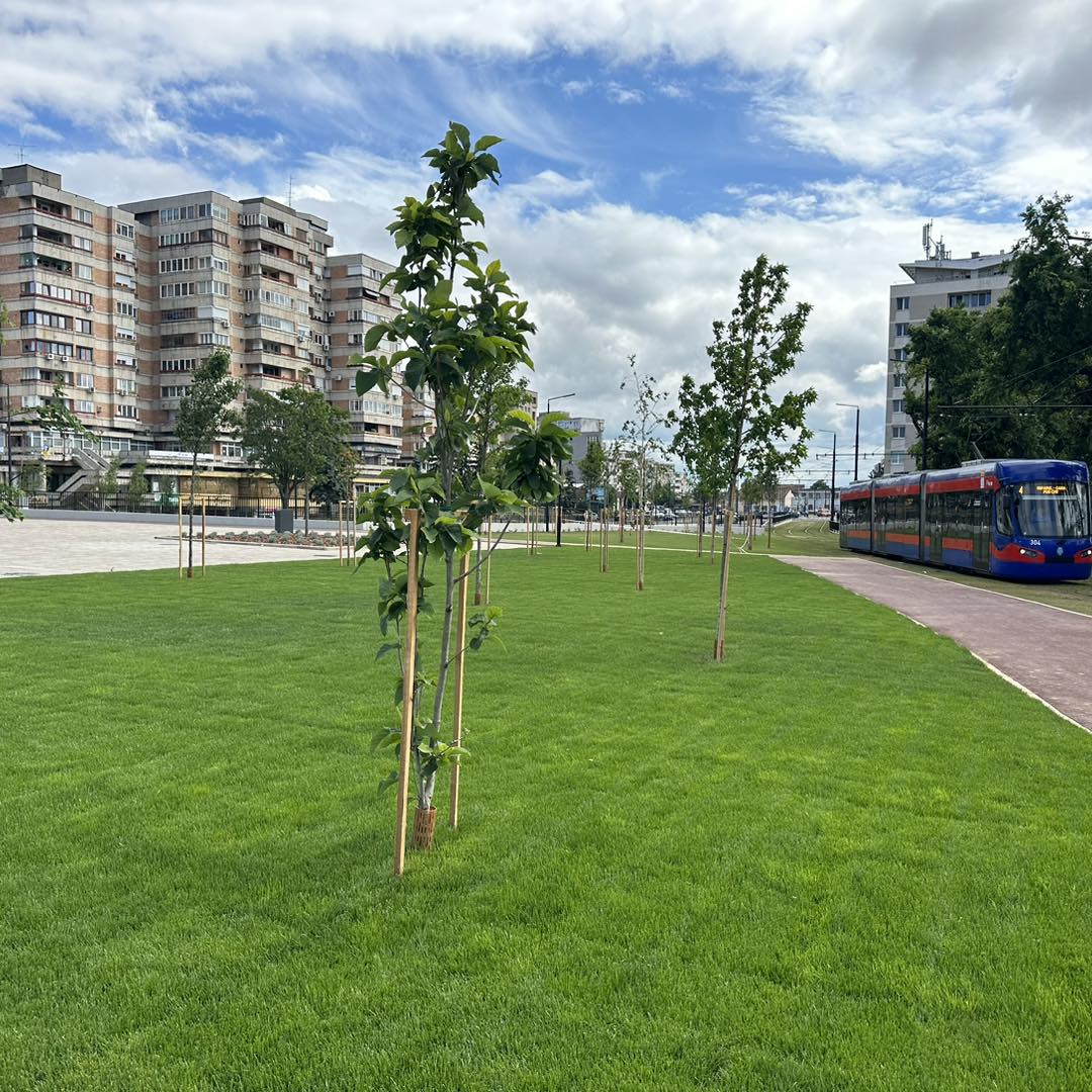 441579103_975960393888682_366125129208156110_n