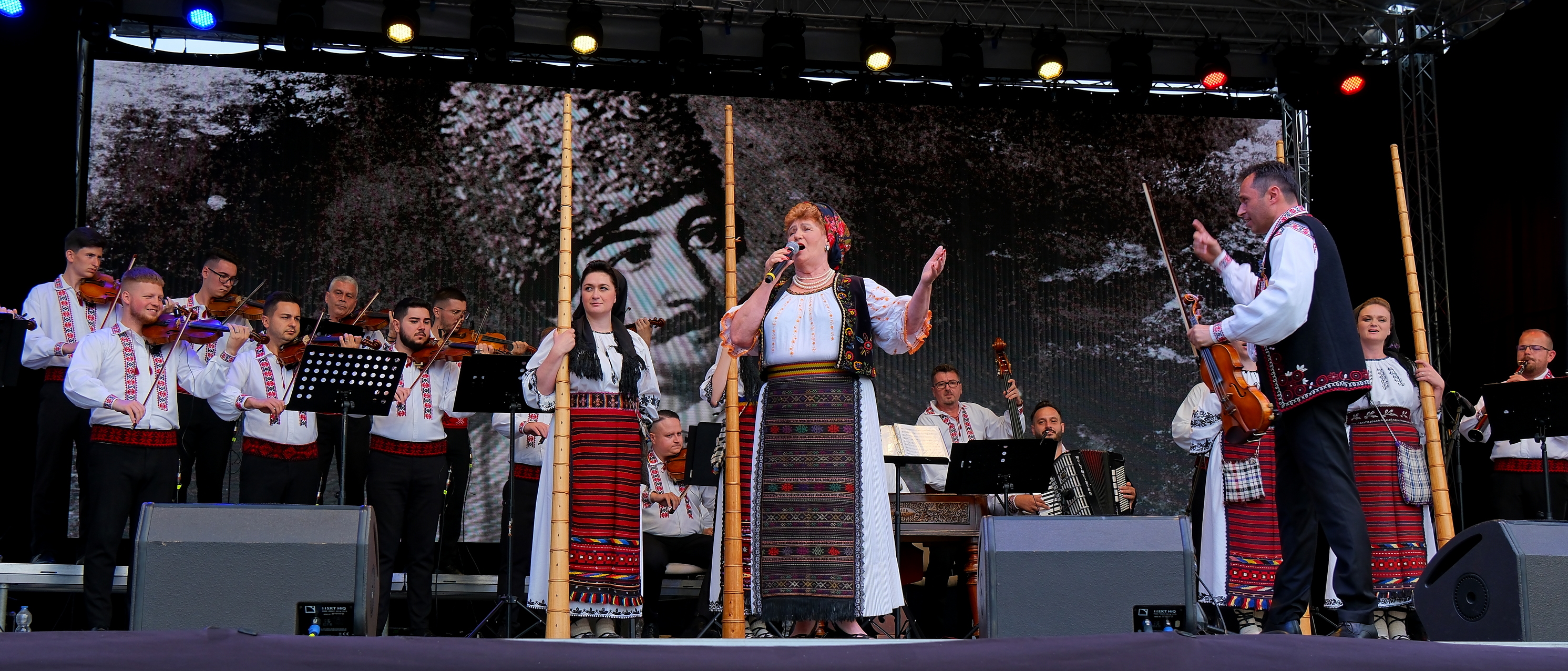 Comemorare Avram Iancu la Oradea (41)