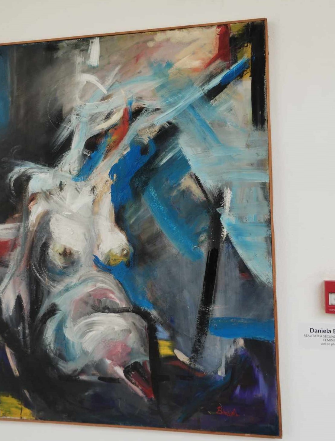 Daniela Bădila, REALITATEA SECUNDĂ A NUDULUI FEMININ