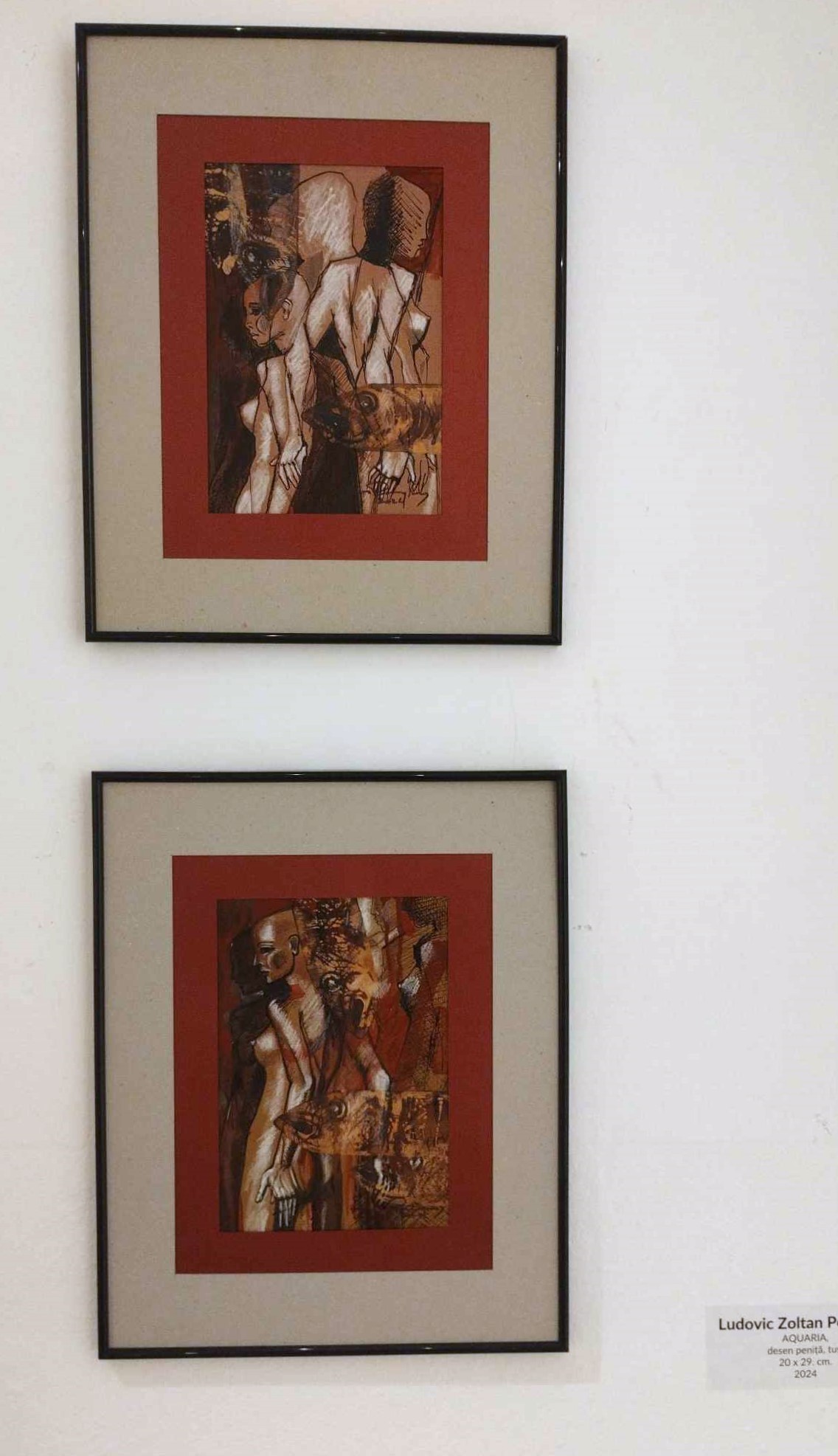 Ludovic Zoltan Pongracz, AQUARIA