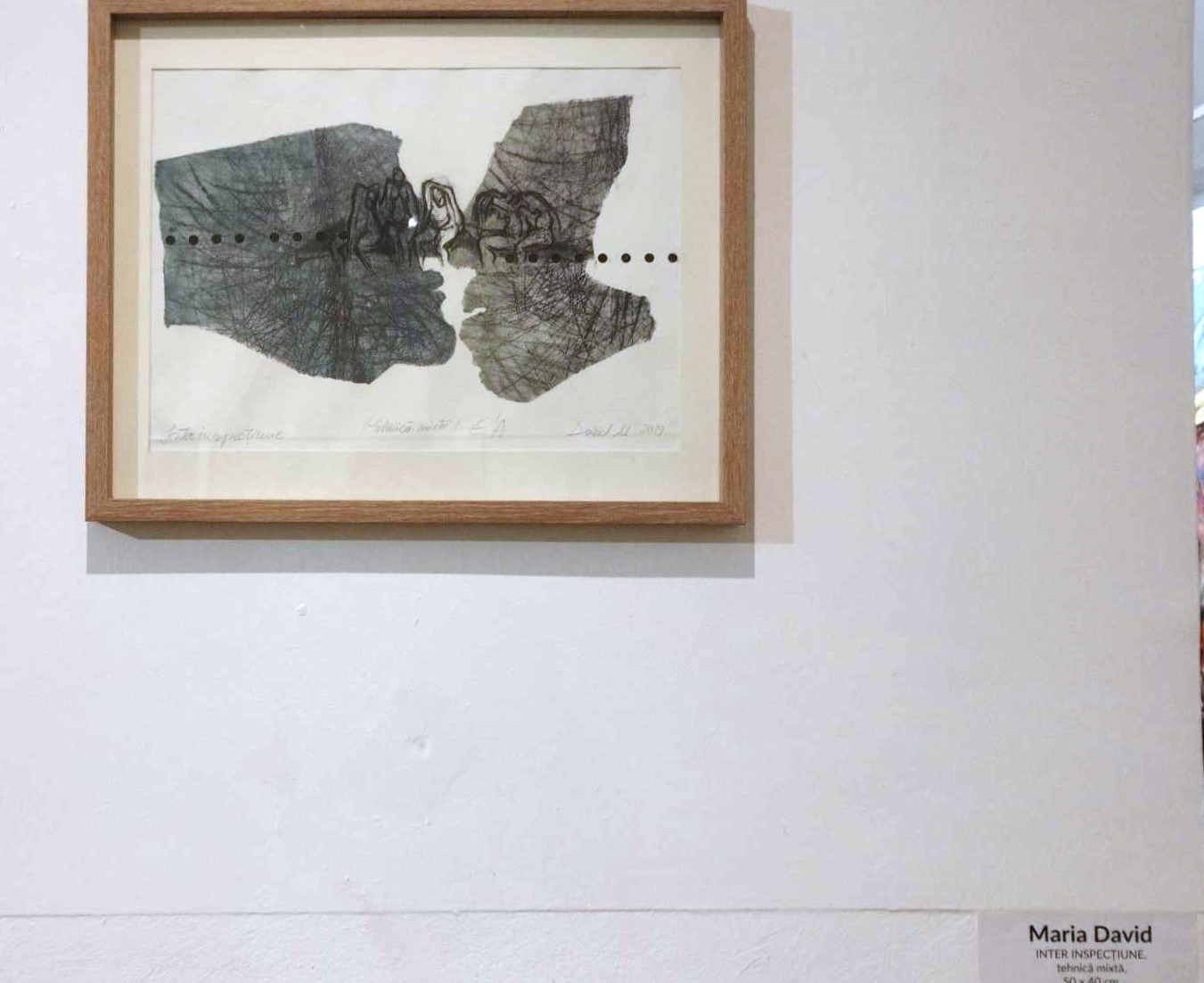 Maria David, INTER INSPECȚIUNE