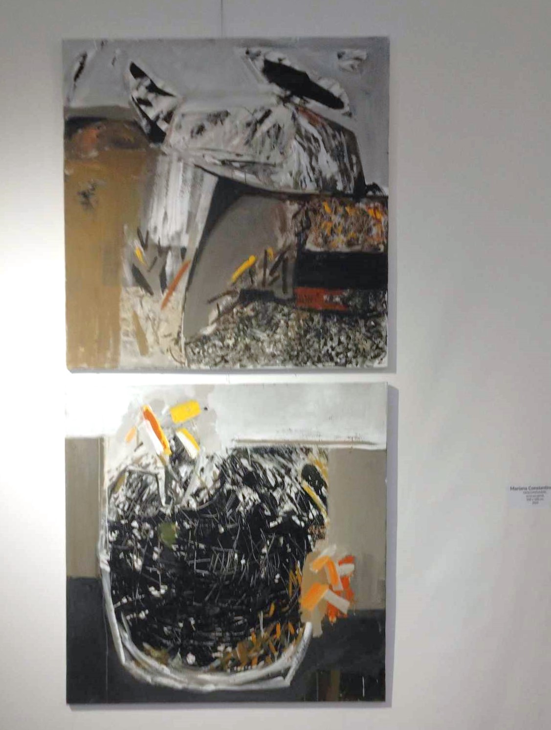 Mariana Constantinescu