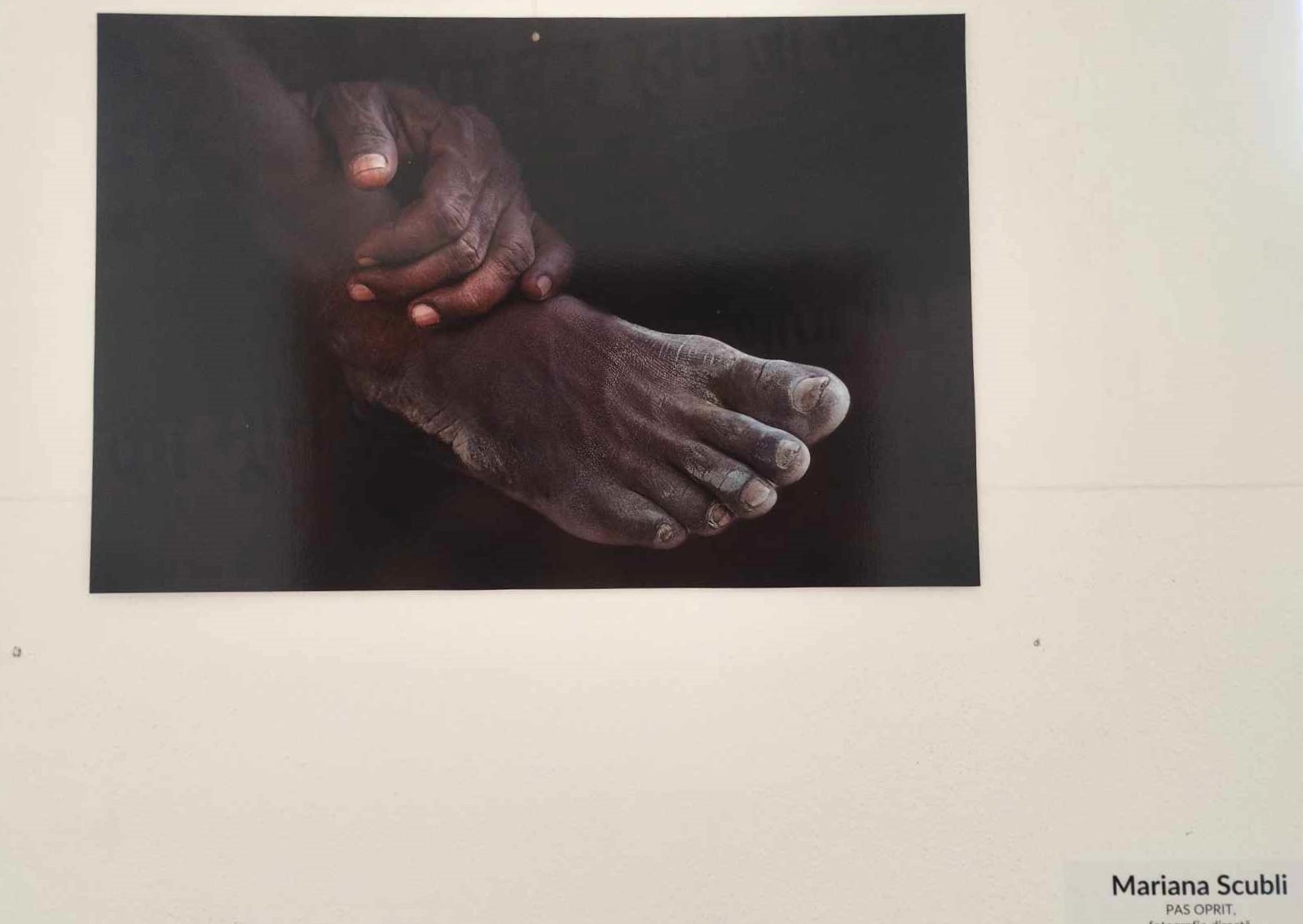 Mariana Scubli, PAS OPRIT