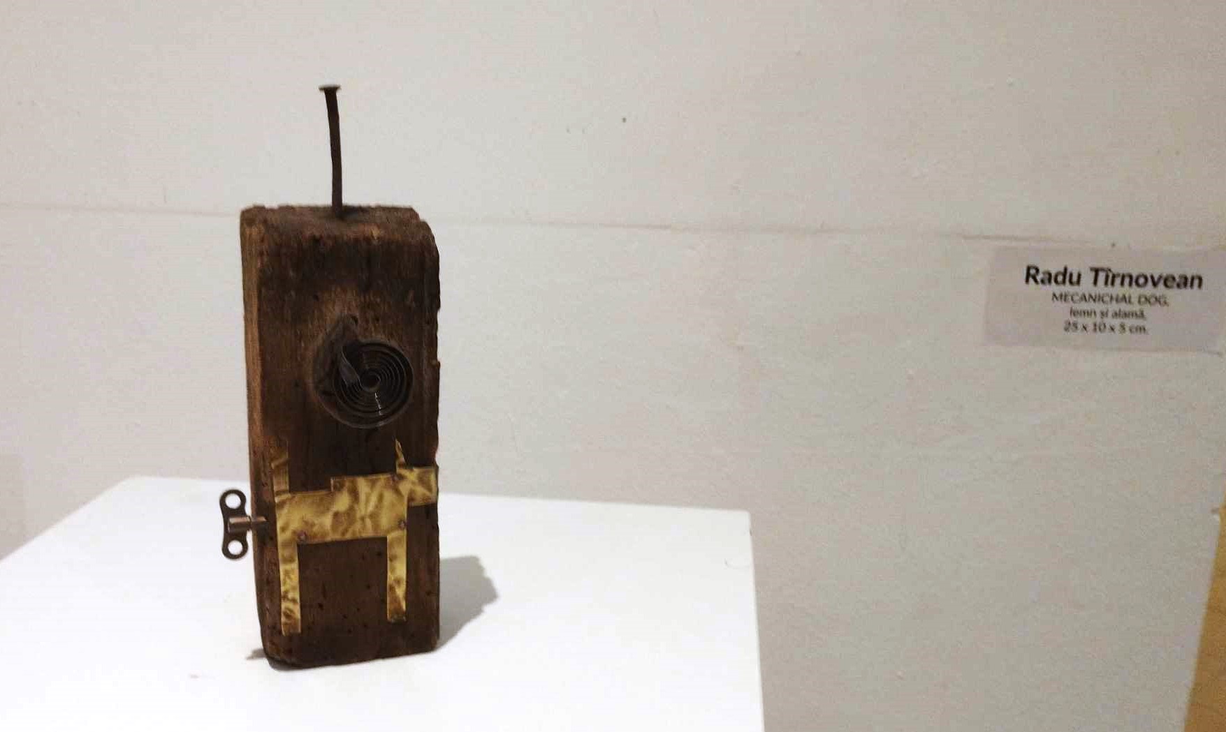 Radu Tîrnovean, MECANICHAL DOG