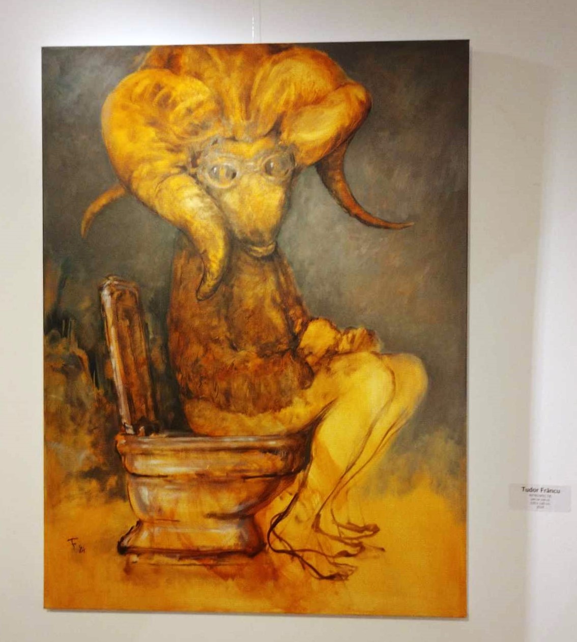 Tudor Frâncu, INTROSPECȚIE