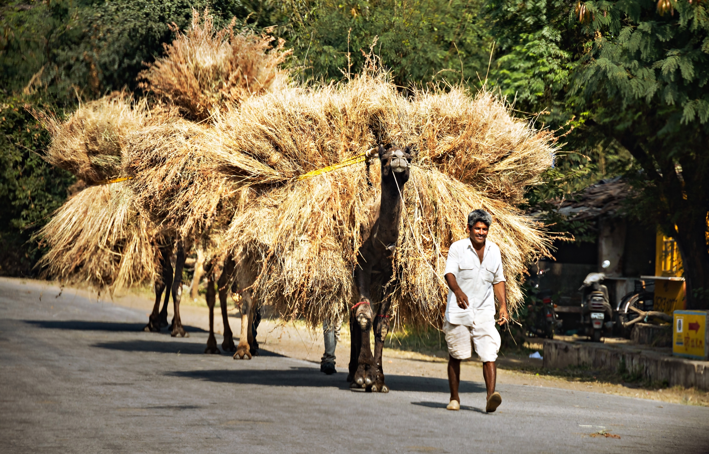 1 expo Paul Bock Impresii din India