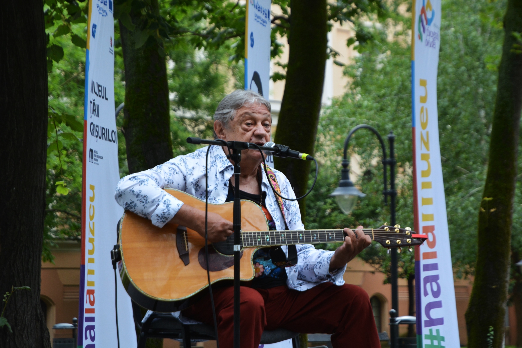 Mircea Vintilă la Tipografia de Idei, Parcul Muzeului Ţării Crişurilor (14)