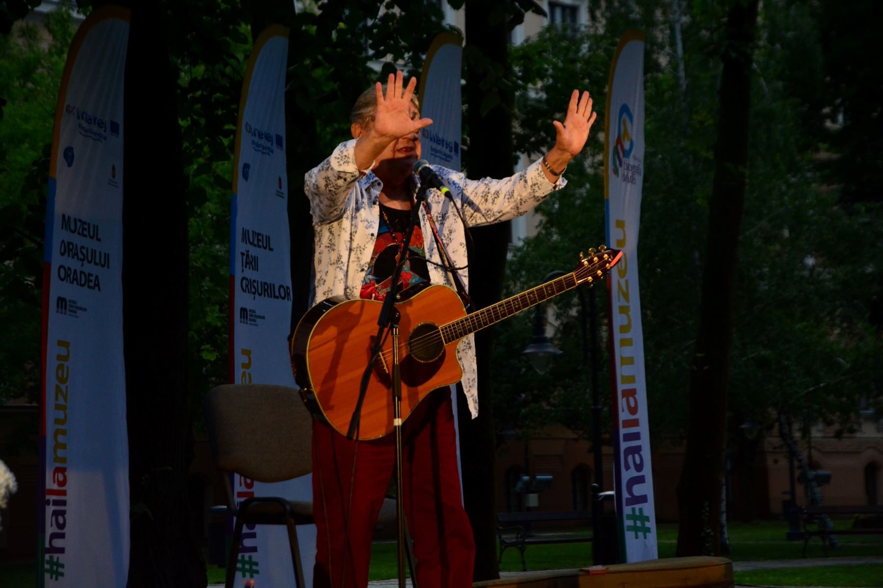 Mircea Vintilă la Tipografia de Idei, Parcul Muzeului Ţării Crişurilor (42)