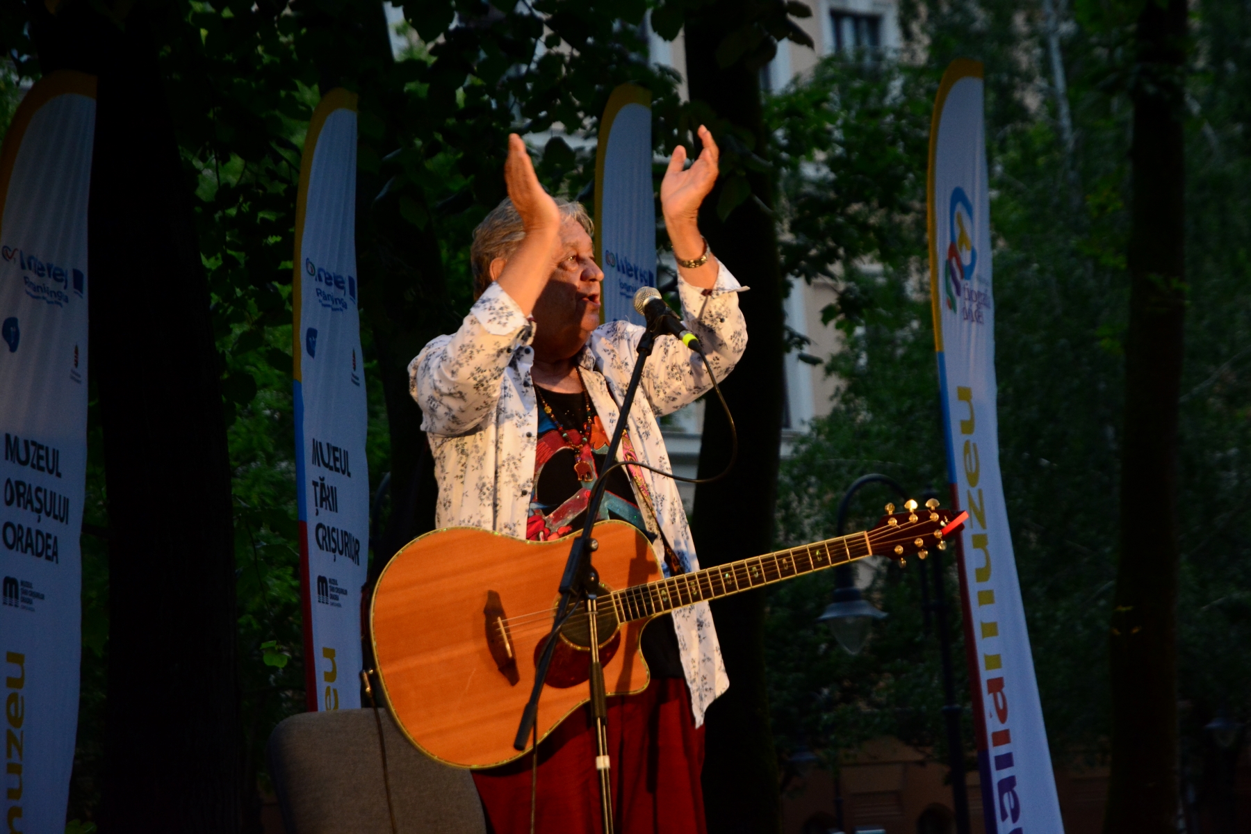 Mircea Vintilă la Tipografia de Idei, Parcul Muzeului Ţării Crişurilor (47)