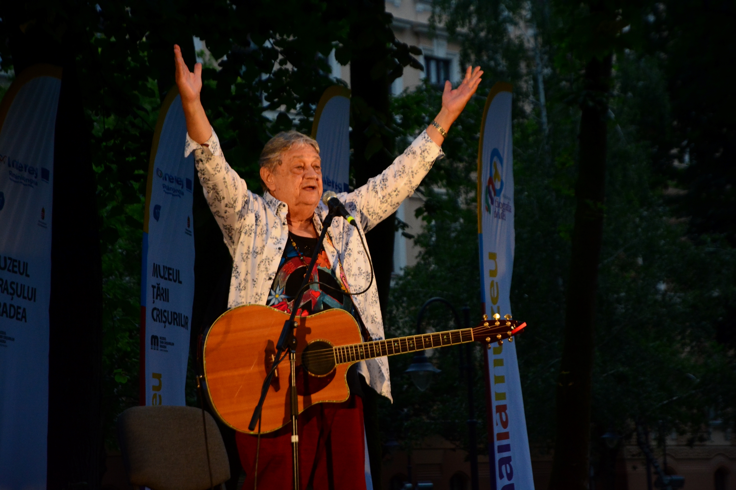 Mircea Vintilă la Tipografia de Idei, Parcul Muzeului Ţării Crişurilor (50)