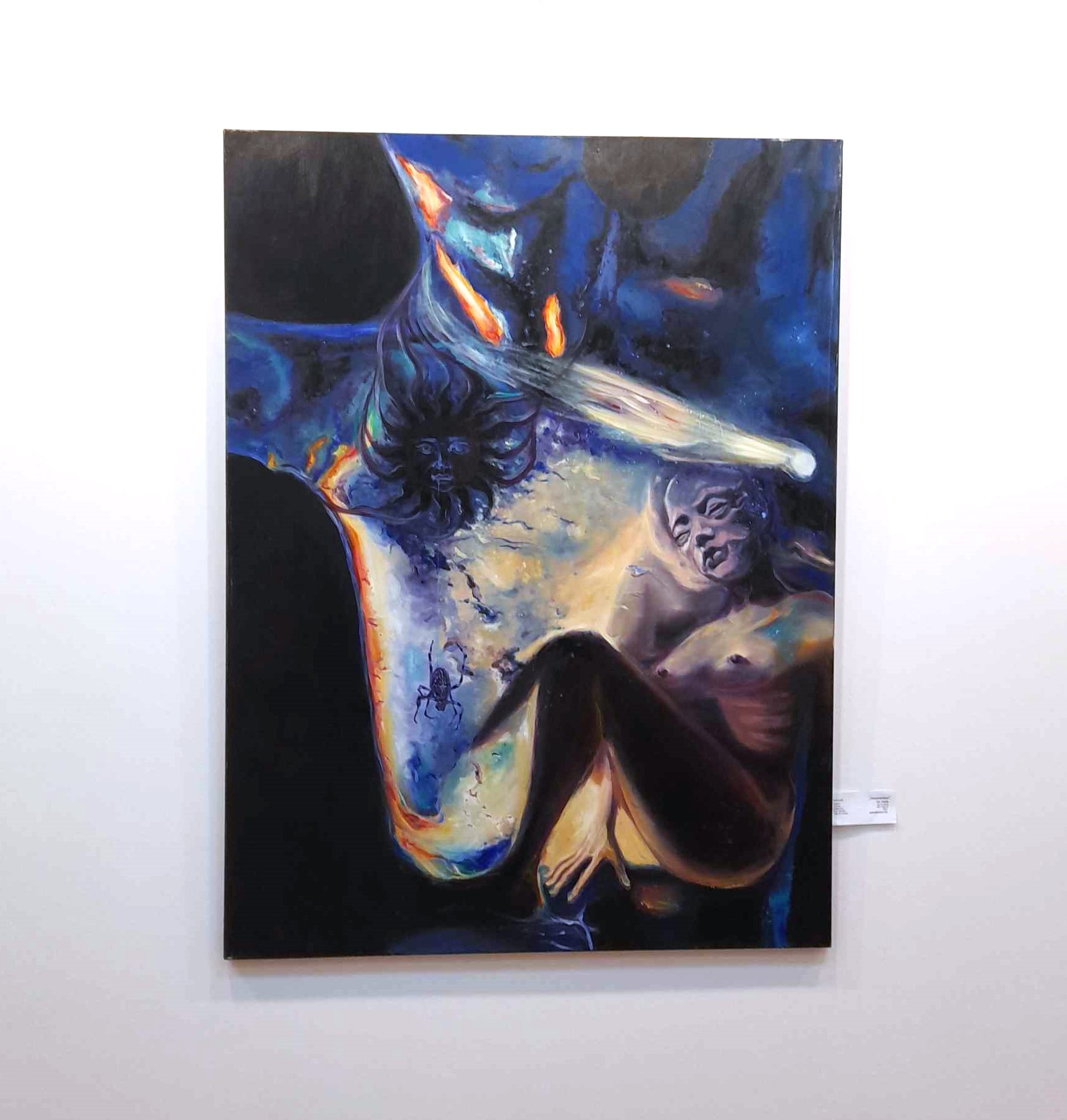 Expoziţie pictură Arad (3)