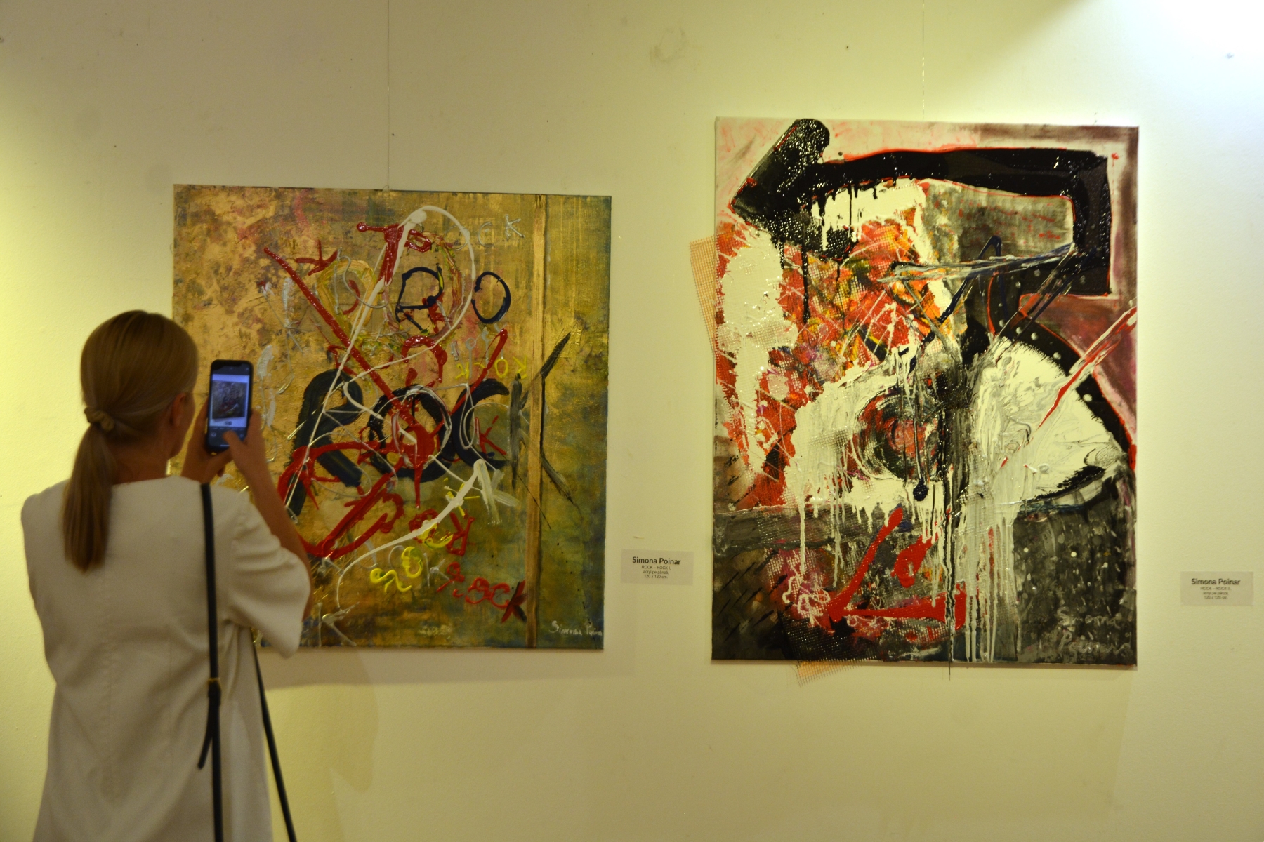 Expoziția Rock – Rock -Rock (27)