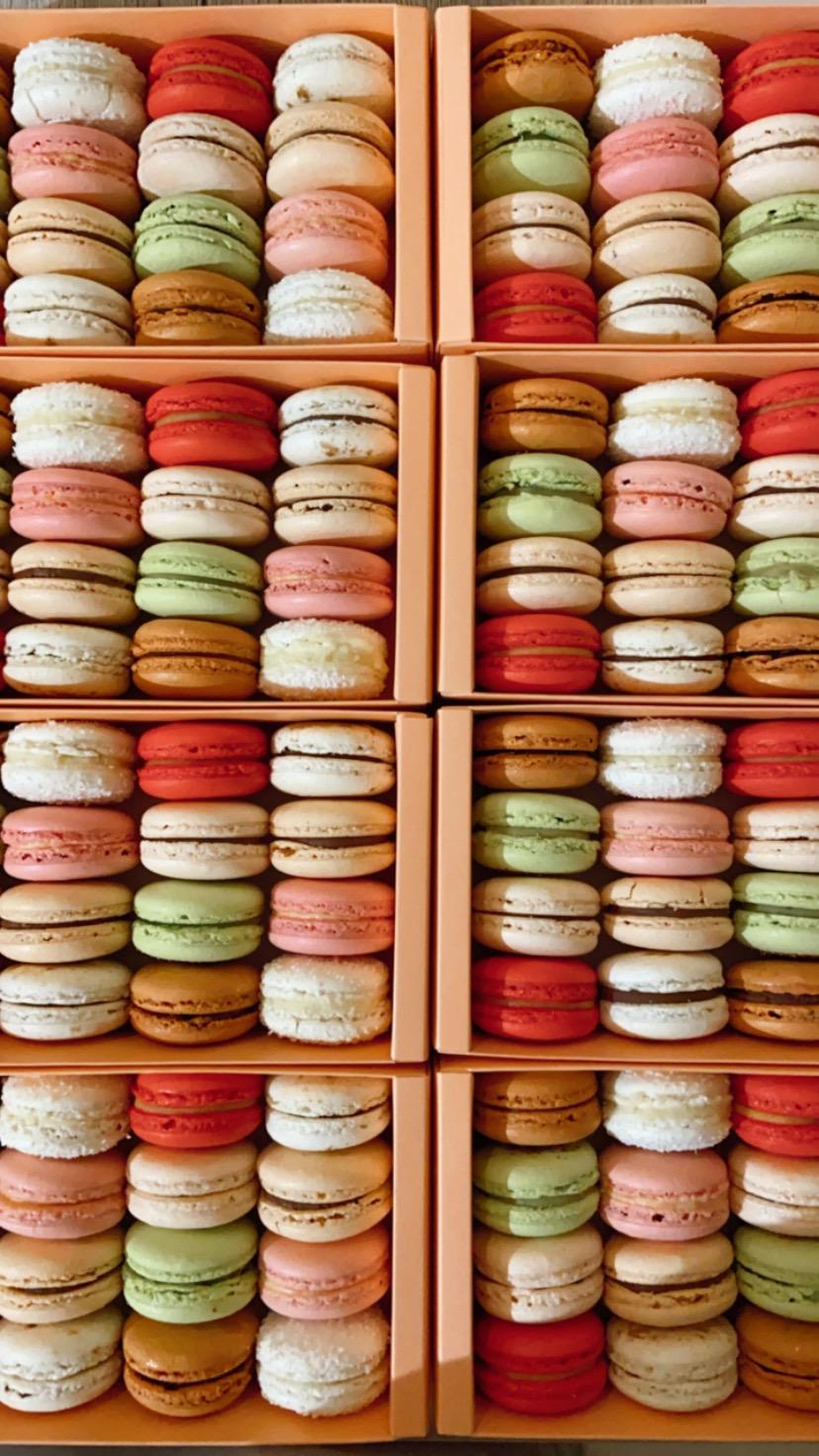 WhatsApp Image 2024-12-27 at 10.08.11 (3)