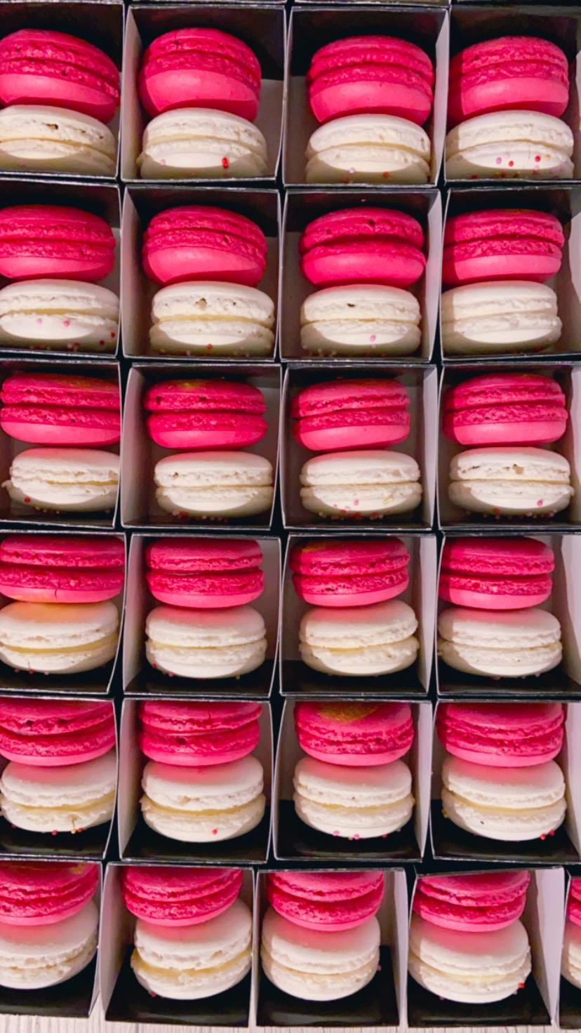 WhatsApp Image 2024-12-27 at 10.08.11 (6)