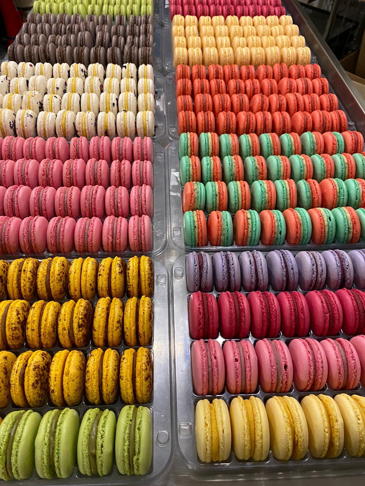 WhatsApp Image 2024-12-27 at 10.08.09