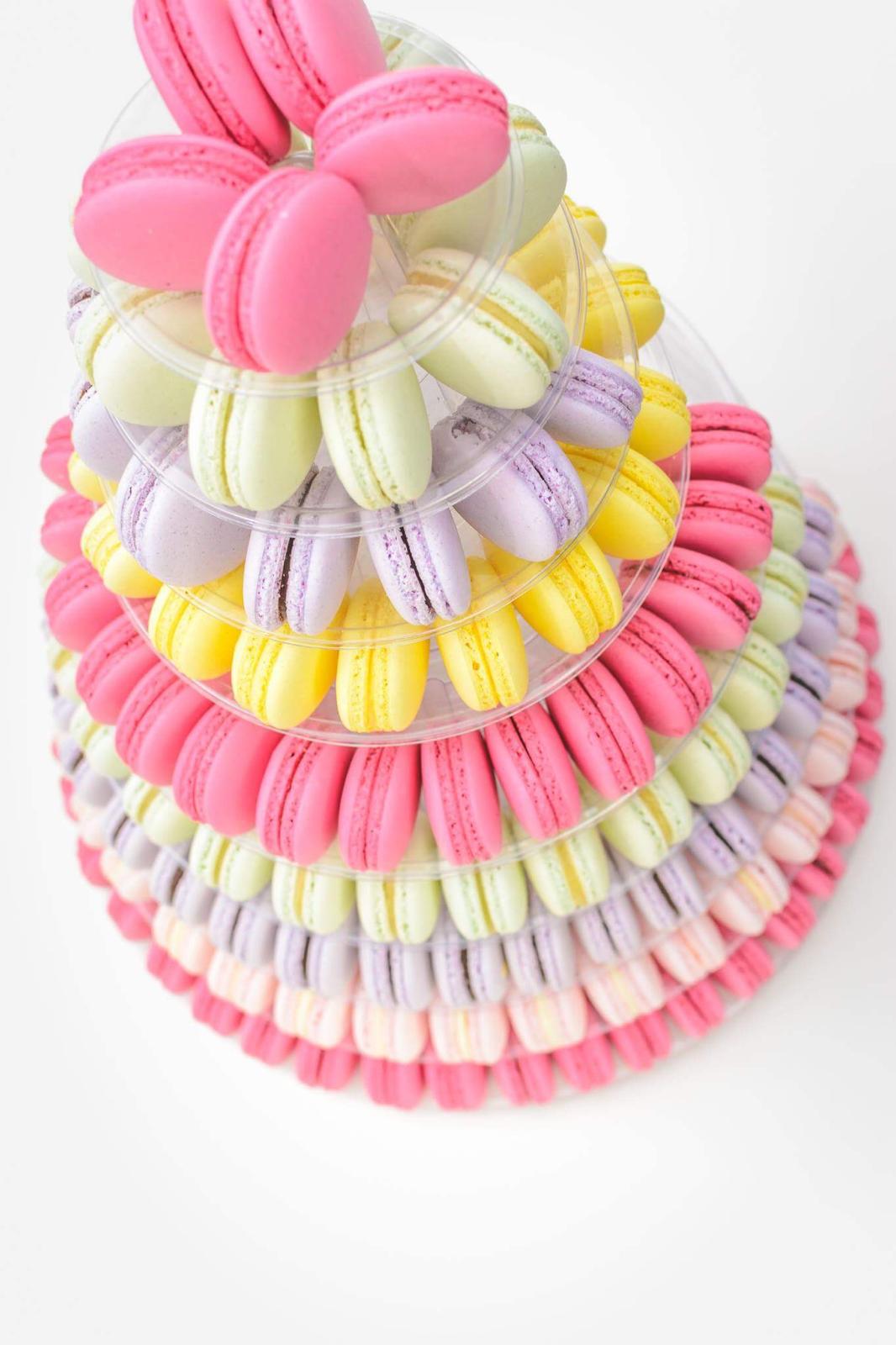 WhatsApp Image 2024-12-27 at 10.08.03 (2)