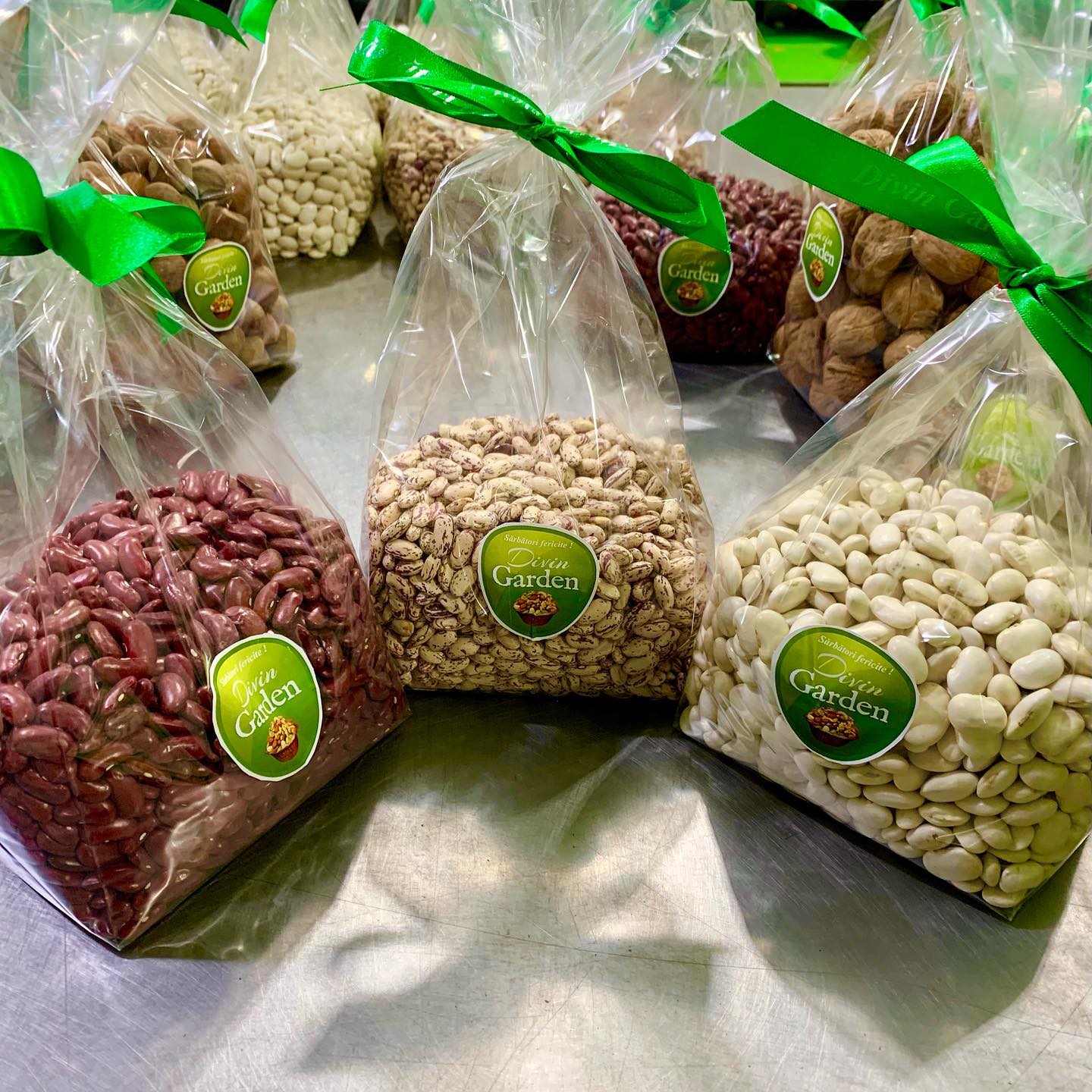 131573259_2382007748612787_6148173622659463684_n