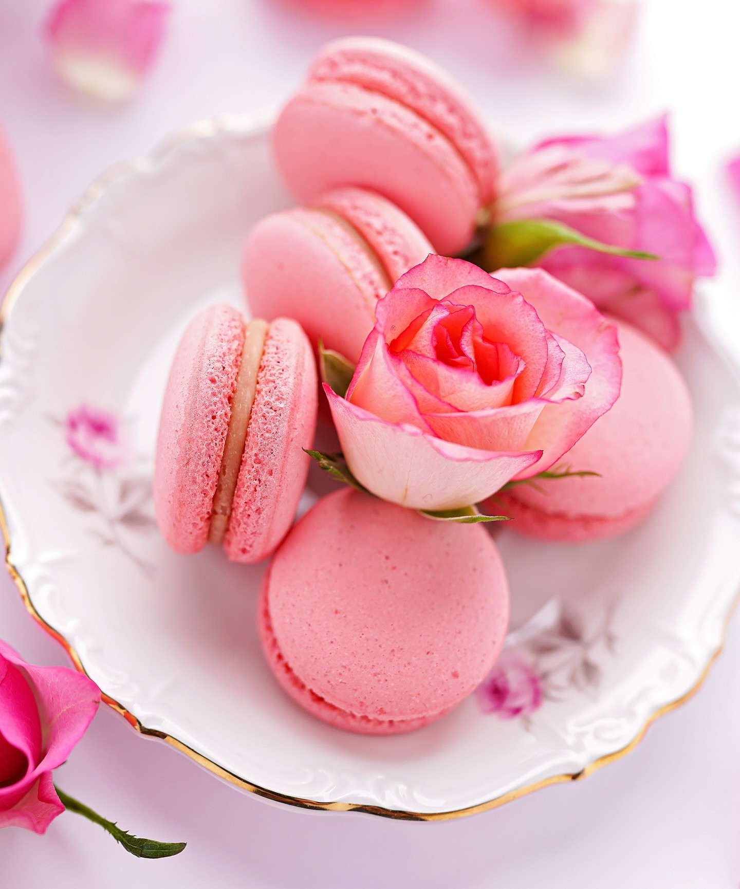 thumbnail_475885036_17985283052792475_2245260208496527401_n