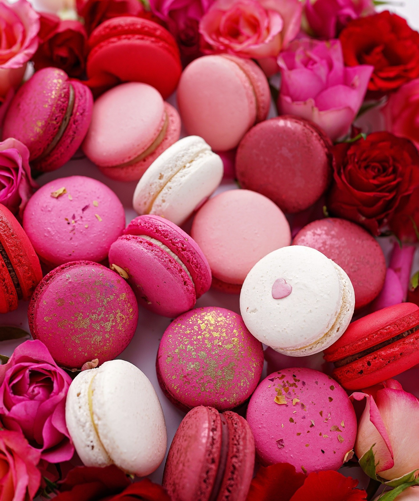 thumbnail_476005142_17985283097792475_8482875298092684831_n