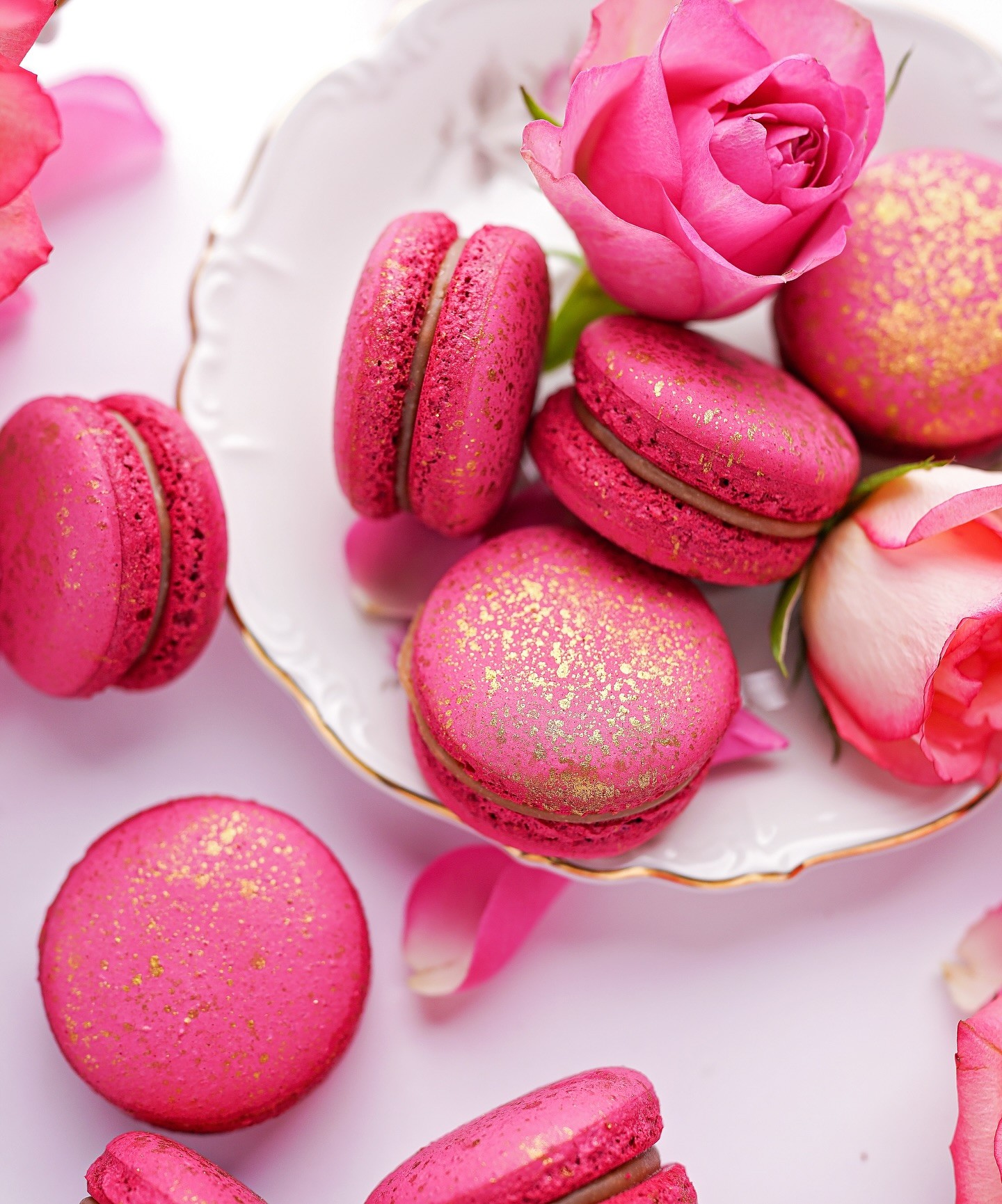 thumbnail_475885035_17985283073792475_9096307557388774019_n