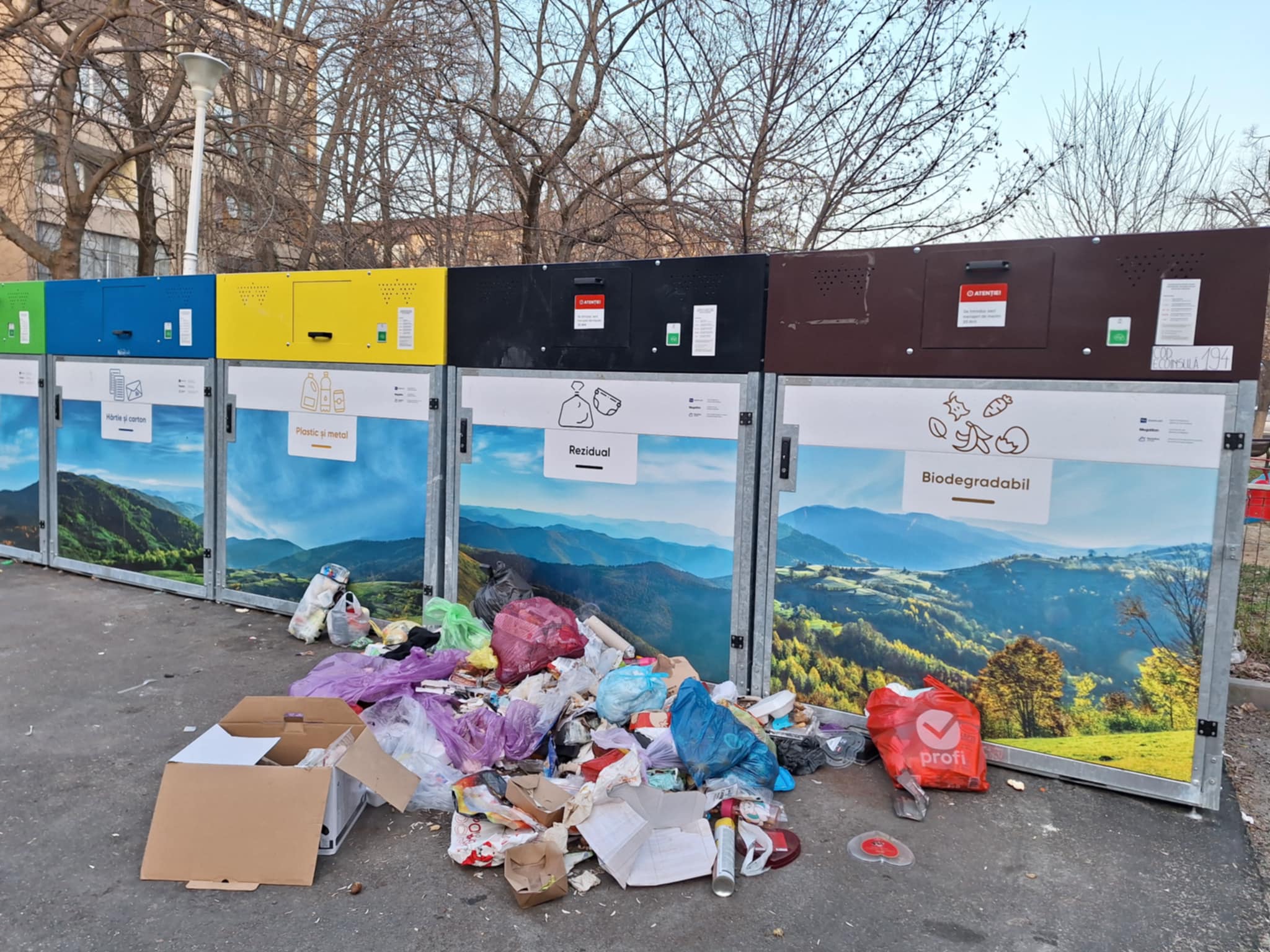 98031e01-aef3-46b6-9a66-bcd3327863ed