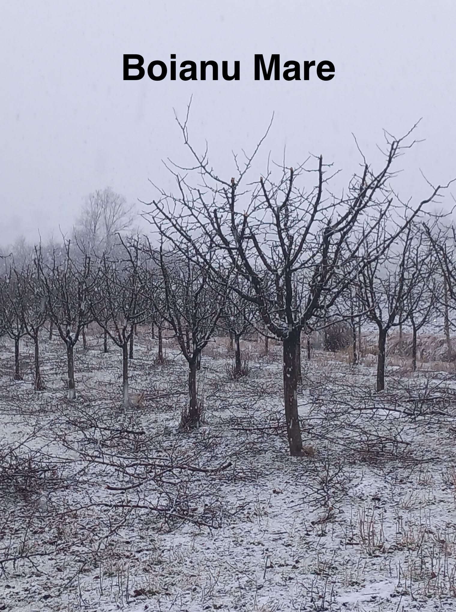 4577614f-8b78-4f8f-98b9-4a5e48f92b4c