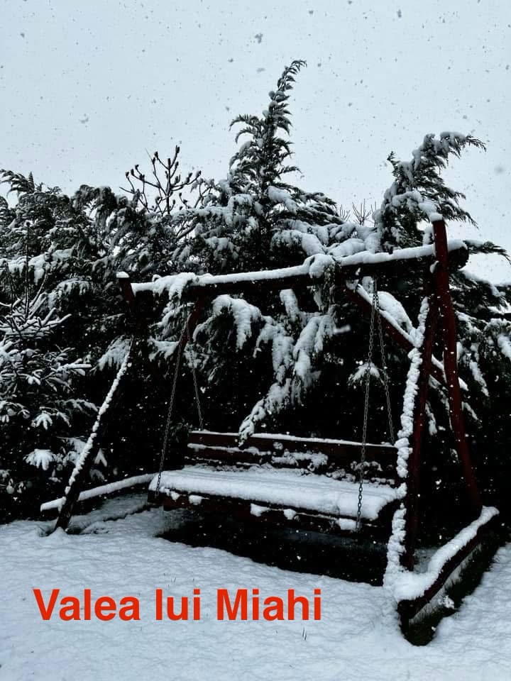 936ab878-ee50-457c-89af-d5762cff4716