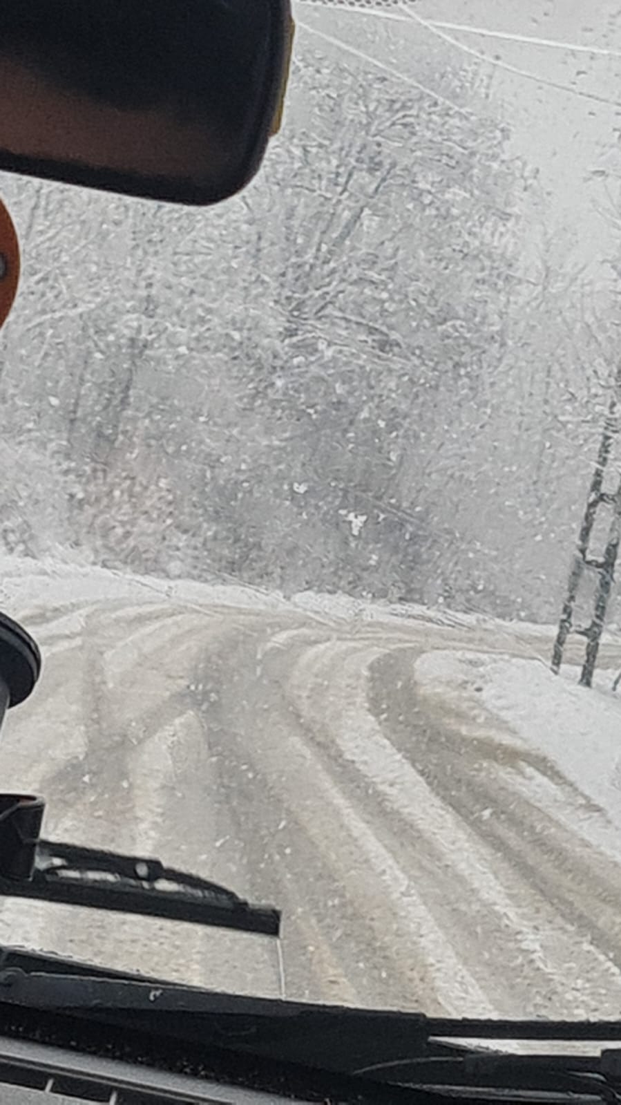 4961edb2-258b-4488-b272-d18d1d47c146