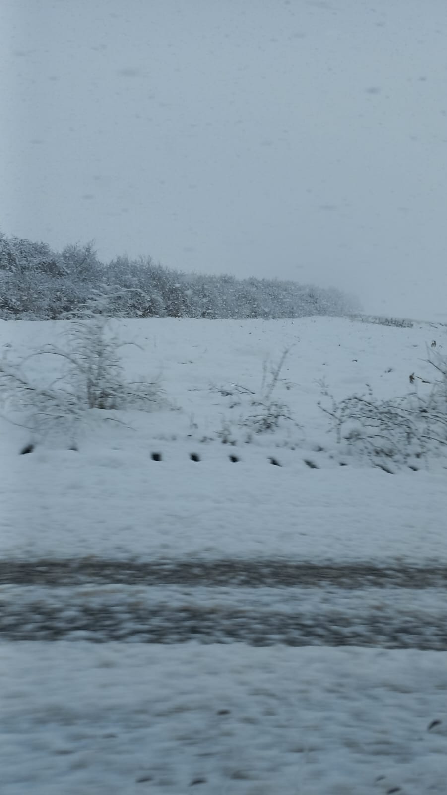 3f286e2a-d028-42d1-8701-ebba552af200