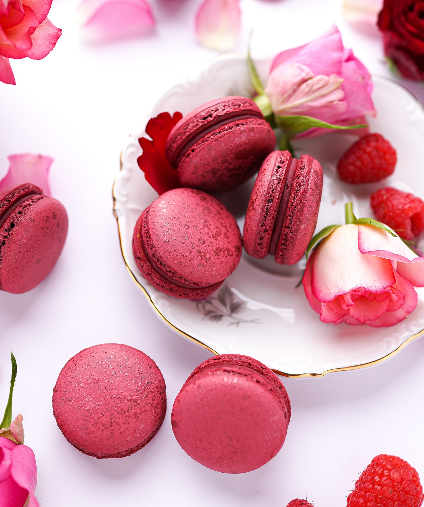 475728476_17985283043792475_5011245026047735552_n